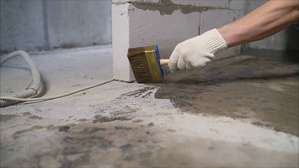 SJ Waterproofing Pros Waterproofing coverage map for Selma, IN and surrounding area
